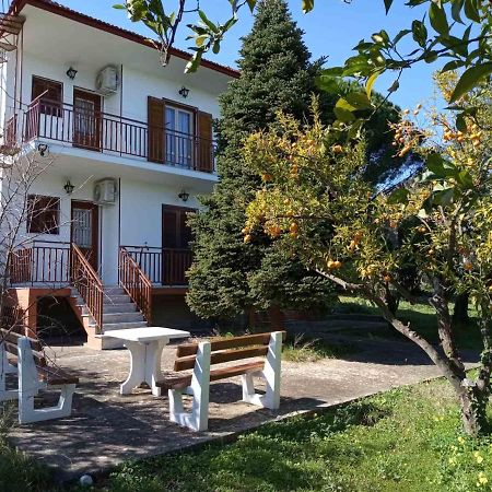 Manousi 1- Ground Floor Apartment Mystras Exterior photo